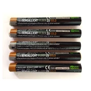 25 Bengallanzen Silber-Gold