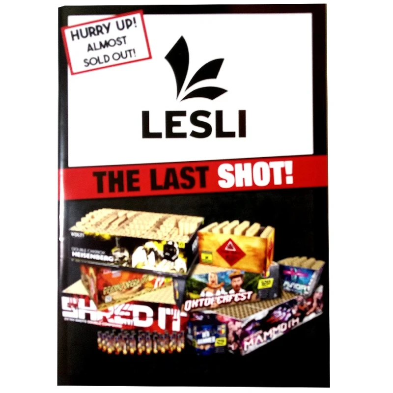 Lesli Sonderposten F2-26